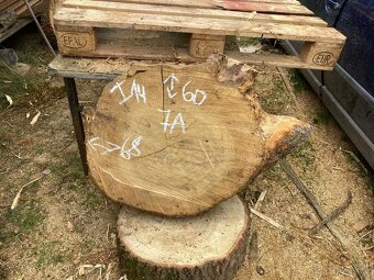 Prodám Dubové koláče - 12