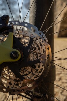 Canyon Torque 29 CF 9 2022 - 12