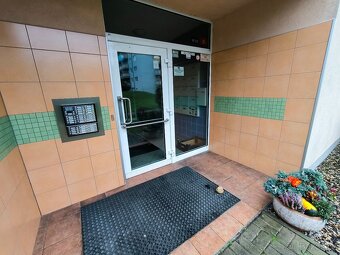 Zařízený byt 1+kk s lodžií, 33m2, Bukov, Baráčnická - 12