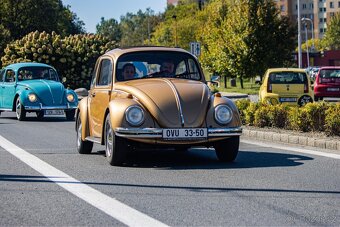 VW Brouk - 12