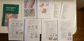 Histologický atlas, Vyprac. otázky z hist, Zákl. fyz. - 12