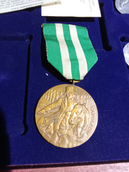 Pamětní mince - 12