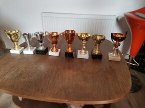 sportovní poháry - 12