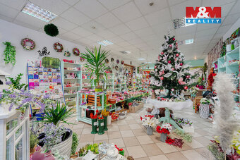 Pronájem květinářství, 133 m², Třemošná, ul. Plzeňská - 12