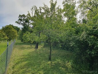 Zahrada 1 403 m2 Brno - Brněnské Ivanovice - 12