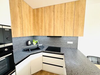 Pronájem bytu 2+kk 70m²,v lokalitě Milana Ticháka Vila Park - 12