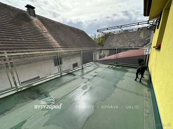 Prodej zemědělská usedlost, 830 m2 - Plánice - Štipoklasy -  - 12