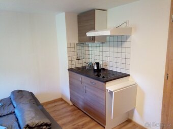 Pronajmu apartmány v Harrachově - 12