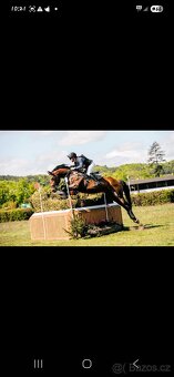 Letošní hřebeček - 12