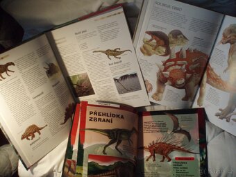 Krása nesmírná-lidové pohádky - 12