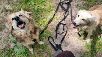 VIKY & ZORKA - umazlené babičky čekají na svého anděla - 12