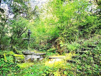 Prodej chaty, 65 m2, Erpužice-Malovice - 12