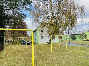 Prodej bytu 1+1 (2+kk), Bor Vysočany, okres Tachov - 12