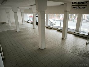 Pronájem obchodního prostoru 456 m², Děčín, Teplická - 12