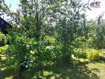 Prodej chaty se zahradou, 71 m², Uherský Brod - 12