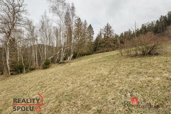 Prodej, pozemky/louka, 3901 m2, Dolní Rokytnice , Rokytnice  - 12