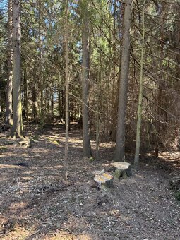 Prodám pozemky v k.ú. Horní Bolíkov - 12