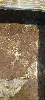 Skleněné terárium 120×80×40 cm - 12