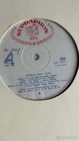 Voskovec Werich gramofonové desky - 12