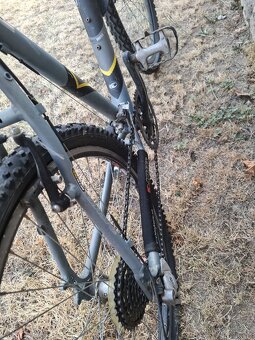 Kola Melinda a Kellys - 12