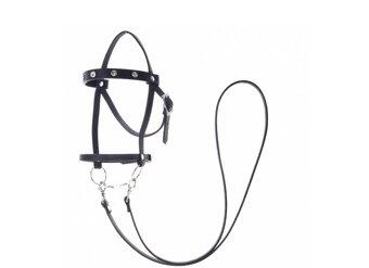 Hobby horse - 12