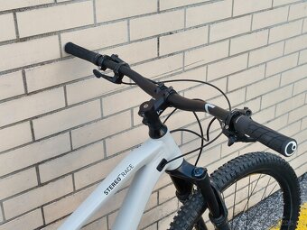 Cube Stereo 29" 120 Race L 2021 - 12