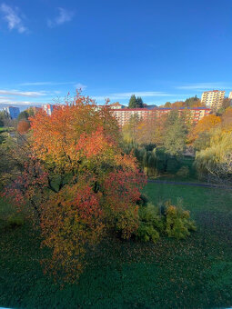 PRODEJ BYTU 3+1 DRUŽSTEVNÍ, UHERSKÝ BROD - 12