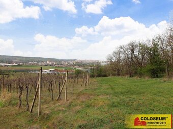 Znojmo – Oblekovice, vinice, trvalý travní porost, lesní poz - 12