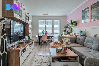 Prodej bytu 2+1, 53 m², ul. Čs. armády, Příbor - 12