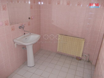 Prodej rodinného domu 6+1, 280 m², Ženklava - 12