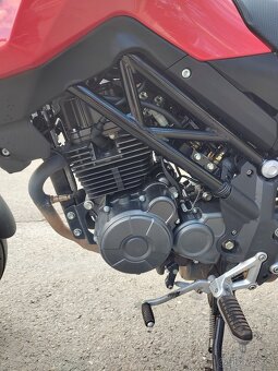 Benelli Tnt 125 - 12