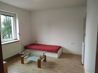 Pronájem bytu 1+kk 25 m2 Dobrotice - 12