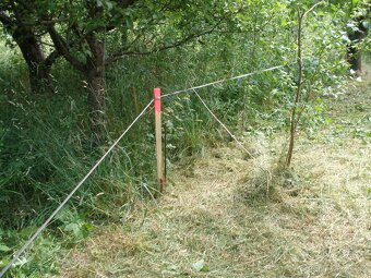 PRODEJ, NA ŠUMAVU 10 Km. 35+664 m2 - 12