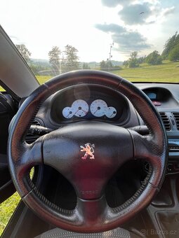 Peugeot 206 CC 1.6 80kw 16V, benzin - 12