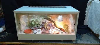 Nové terárium - 12
