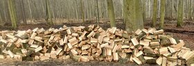 Palivové dřevo, DOPRAVA ZDARMA - 12