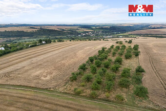 Prodej ovocného sadu, 5202 m², Kralupy nad Vltavou - 12