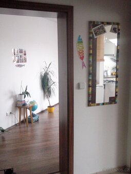 Pronájem bytu 1+1, 38m2, ul. Olomoucká, Opava - 12
