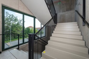 Prodej bytu 2+kk, 46 m2, Brno - Horní Heršpice - 12