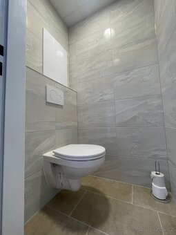 Pronájem bytu 2+1, 52 m², Plzeň, Lábkova 892/14 - 12
