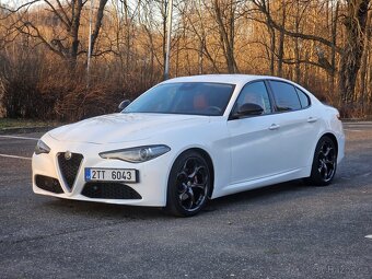 Alfa Romeo Giulia 2.0TB Q2 285HP Pogea / Performance Pack - 12