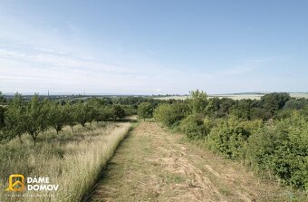 Prodej pozemku se zahradním domkem 3 731 m2 - Staré Město - 12