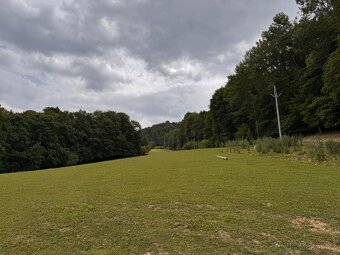 Prodej statku, 27000 m², Městečko Trnávka - Pěčíkov - 12