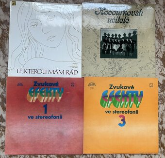 Sbírka gramofonových desek - 12