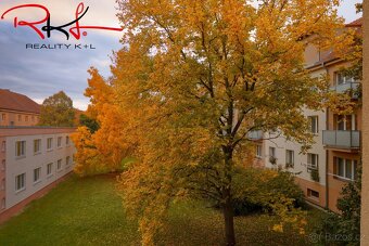 Pronájem, byt 2+1, Mělník - 12