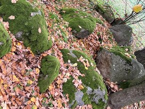 přírodní kameny, částečně porostlé mechem - 12