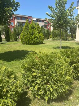 Pohodové studio, Slunečné pobřeží, Bulharsko - 12