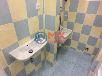 Prodej, nebytový prostor, 101 m2, Praha 2 - Vinohrady - 12