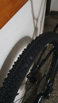 Canyon neuron AL 6.0 29 XL - 12