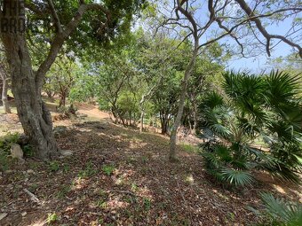 LOT 5 Bodden Bight Estate, Roatan - 12
